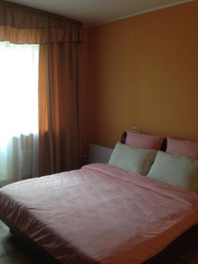 Apartment on Professionalnaya 22, Dmitrov, Dmitrov